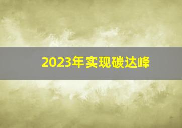 2023年实现碳达峰