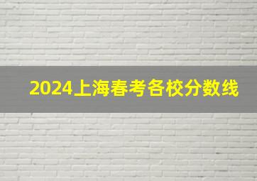 2024上海春考各校分数线