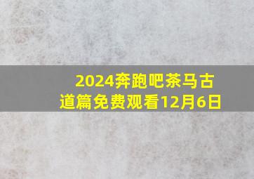 2024奔跑吧茶马古道篇免费观看12月6日