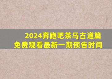 2024奔跑吧茶马古道篇免费观看最新一期预告时间