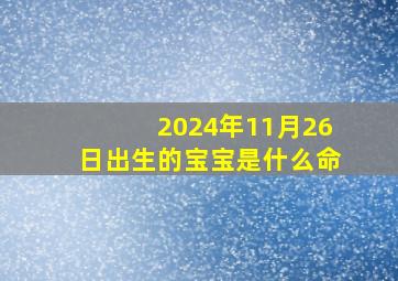 2024年11月26日出生的宝宝是什么命