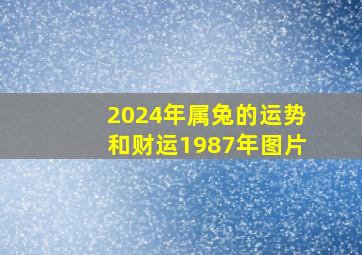 2024年属兔的运势和财运1987年图片