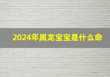 2024年属龙宝宝是什么命