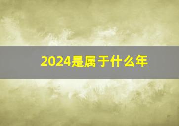 2024是属于什么年