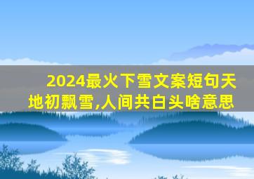 2024最火下雪文案短句天地初飘雪,人间共白头啥意思