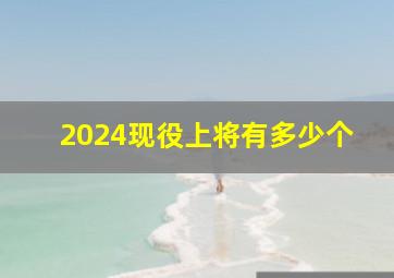 2024现役上将有多少个