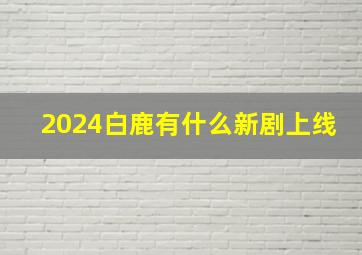 2024白鹿有什么新剧上线