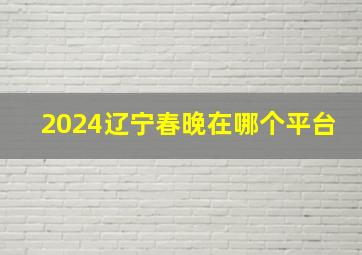 2024辽宁春晚在哪个平台