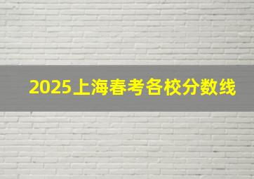 2025上海春考各校分数线