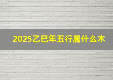 2025乙巳年五行属什么木