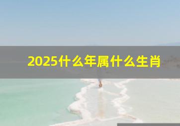 2025什么年属什么生肖