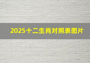 2025十二生肖对照表图片