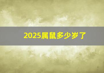 2025属鼠多少岁了