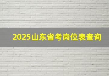 2025山东省考岗位表查询