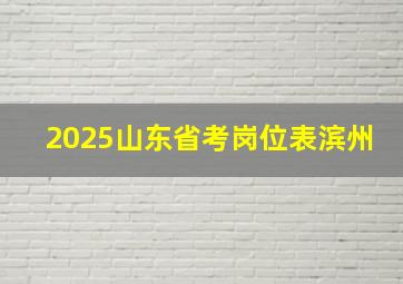 2025山东省考岗位表滨州