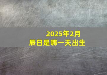 2025年2月辰日是哪一天出生