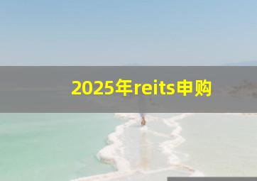 2025年reits申购