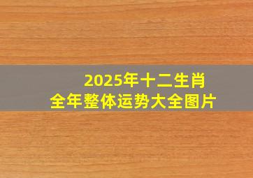 2025年十二生肖全年整体运势大全图片