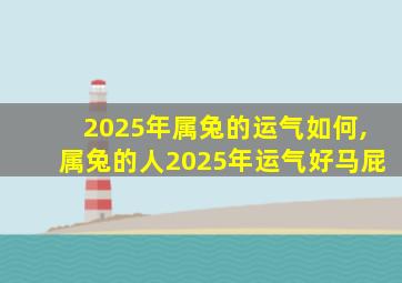 2025年属兔的运气如何,属兔的人2025年运气好马屁