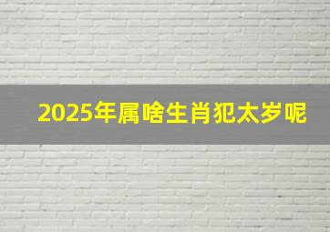 2025年属啥生肖犯太岁呢