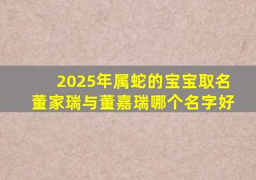 2025年属蛇的宝宝取名董家瑞与董嘉瑞哪个名字好