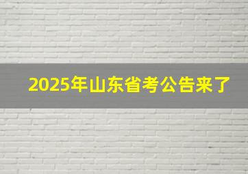 2025年山东省考公告来了