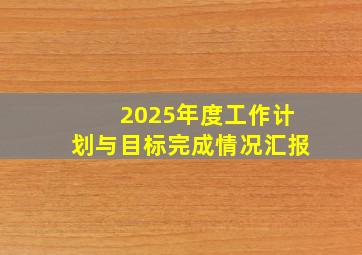 2025年度工作计划与目标完成情况汇报