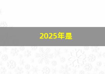 2025年是