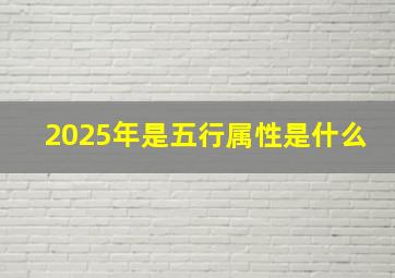 2025年是五行属性是什么