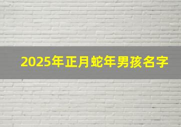 2025年正月蛇年男孩名字