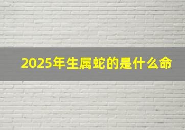 2025年生属蛇的是什么命