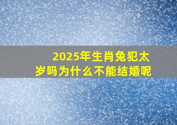 2025年生肖兔犯太岁吗为什么不能结婚呢