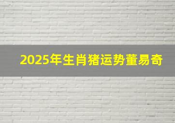 2025年生肖猪运势董易奇