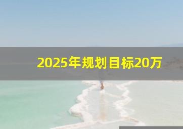 2025年规划目标20万