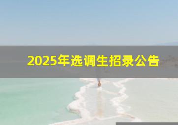 2025年选调生招录公告