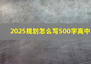 2025规划怎么写500字高中