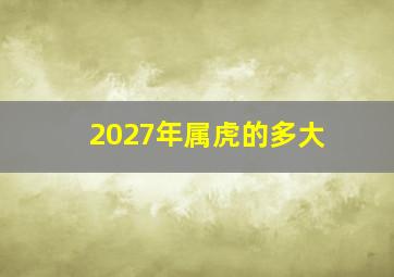 2027年属虎的多大