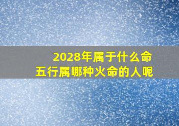 2028年属于什么命五行属哪种火命的人呢