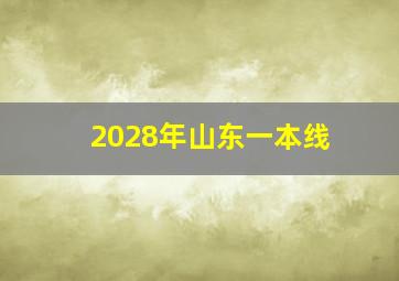 2028年山东一本线