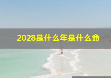 2028是什么年是什么命