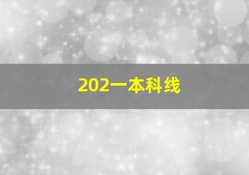 202一本科线