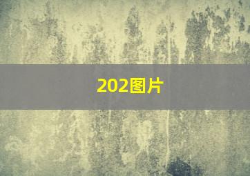 202图片