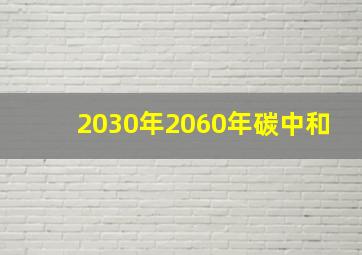 2030年2060年碳中和