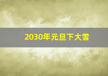 2030年元旦下大雪