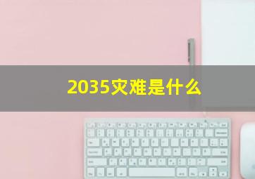 2035灾难是什么