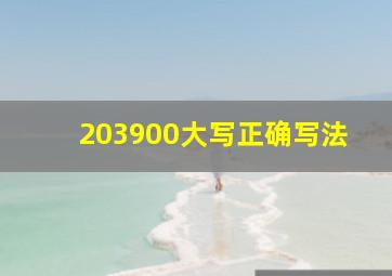 203900大写正确写法