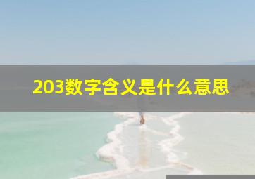 203数字含义是什么意思