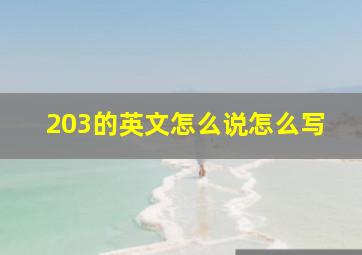 203的英文怎么说怎么写