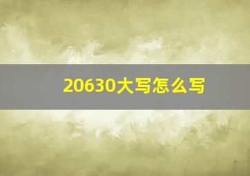 20630大写怎么写