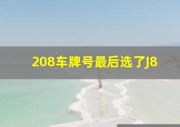 208车牌号最后选了J8